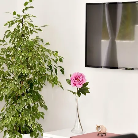 Eli - Sea View 公寓 米利尼